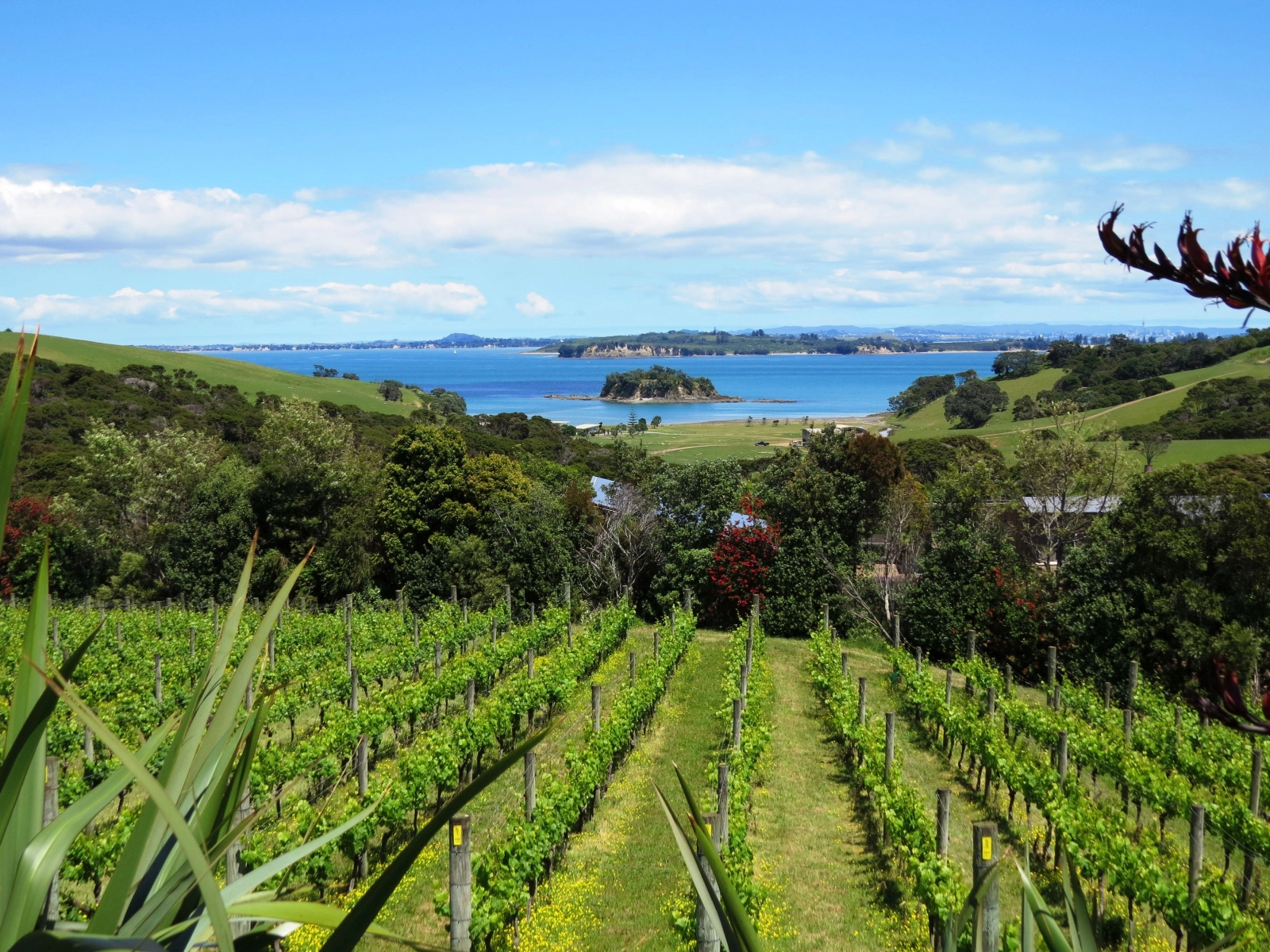 Waiheke Island Credit NZW Inc Cable Bay