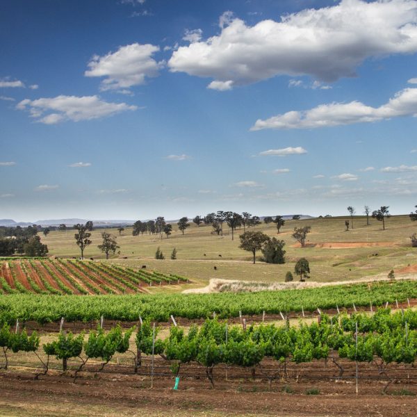 Taste the Hunter Valley Wine Region