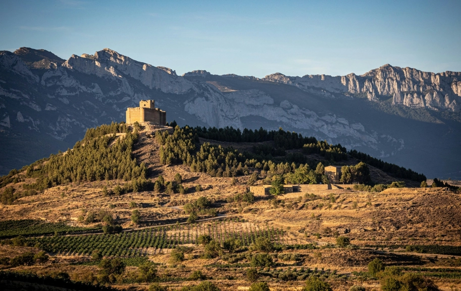 Mario la pergola s VWA1zv MD3 E unsplash